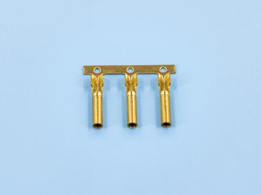 2.0單腳密封母端，黃銅，原色，橫帶（OM06-11）