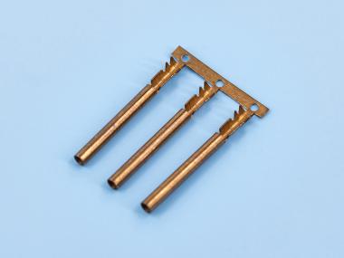 2.0雙腳鯊魚齒母端，紫銅，原色，橫帶（OM17-03）